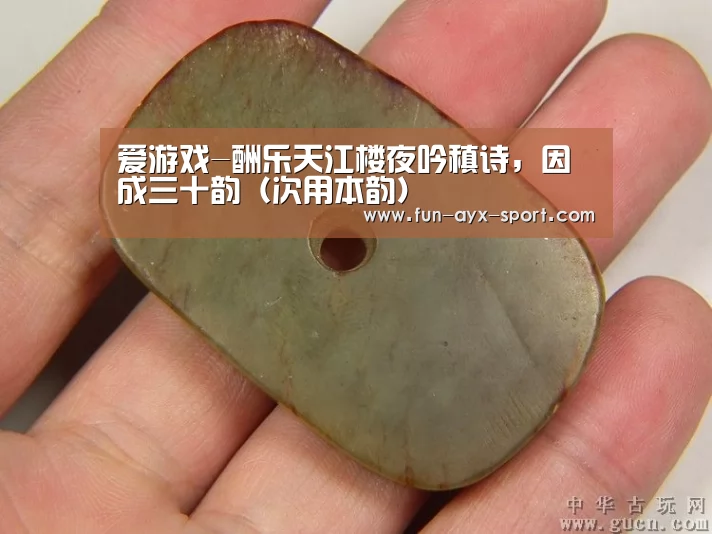 爱游戏-酬乐天江楼夜吟稹诗,因成三十韵(次用本韵)(图2) 爱游戏官网